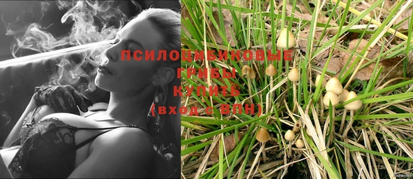 прущие грибы Костерёво