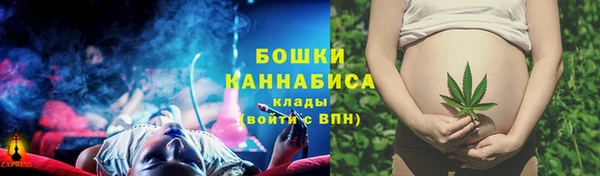 прущие грибы Костерёво