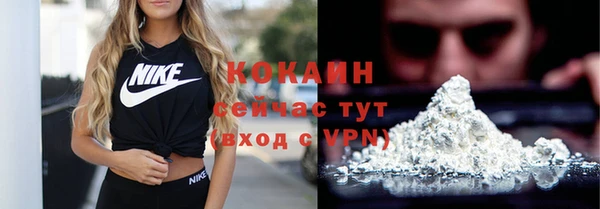 гидра Кодинск