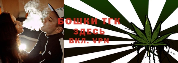 прущие грибы Костерёво
