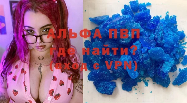прущие грибы Костерёво