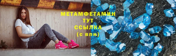 гидра Кодинск