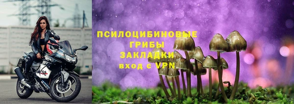 ПСИЛОЦИБИНОВЫЕ ГРИБЫ Козельск