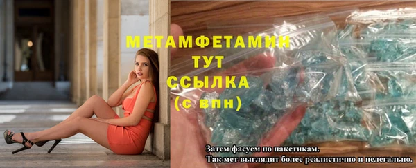 прущие грибы Костерёво