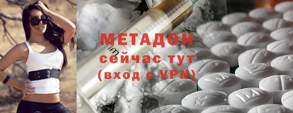 гидра Кодинск