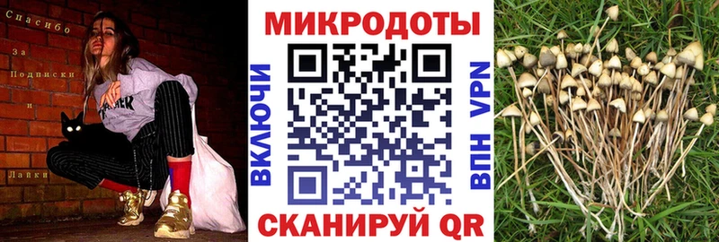 Купить  Меленки  Псилоцибиновые грибы мицелий 